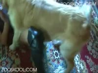 Hot dog sex with kinky teen enjoying dog cock